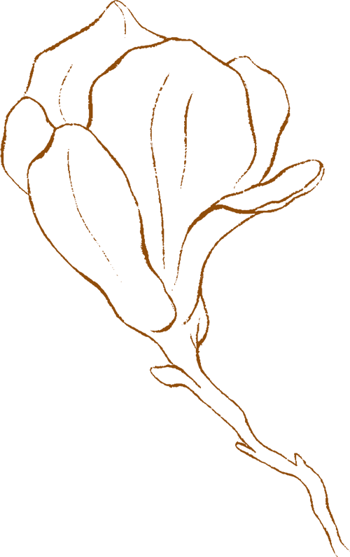 magnolia_flower3_outline2.gif